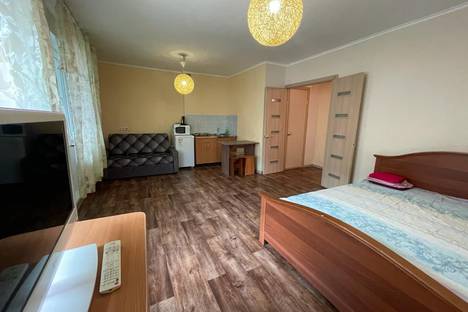 Однокомнатная квартира в аренду посуточно в Красноярске по адресу Караульная ул., 42