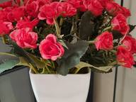 Объявление