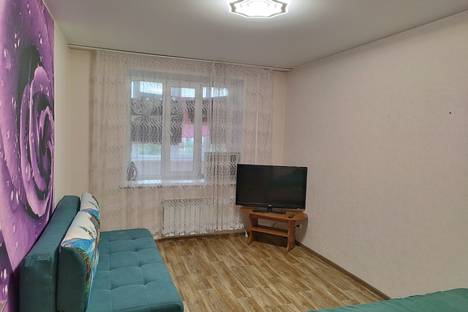 Однокомнатная квартира в аренду посуточно в Александрове по адресу ул. Свердлова, 64