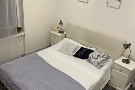 1-комнатная квартира в Санкт-Петербурге, ул. Ленсовета, 67к1