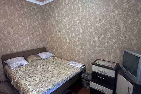 Трёхкомнатная квартира в аренду посуточно в Енакиеве по адресу пр-кт Шевченко, 88