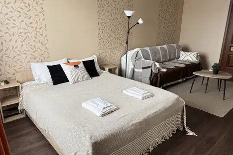 1-комнатная квартира в Нижнем Новгороде, Малая Ямская ул., 63