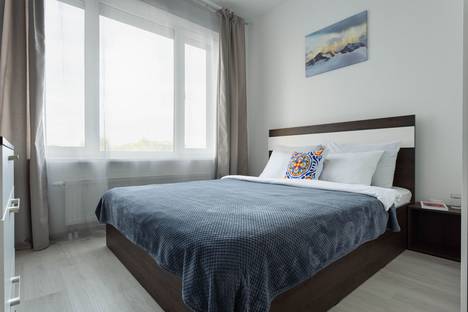 Двухкомнатная квартира в аренду посуточно в Санкт-Петербурге по адресу ул. Шостаковича, 5к4