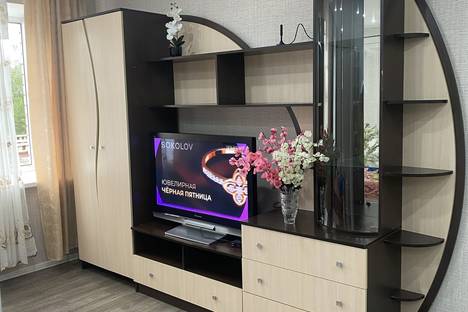 1-комнатная квартира в Новгородской области, Новгородская область, Боровичи