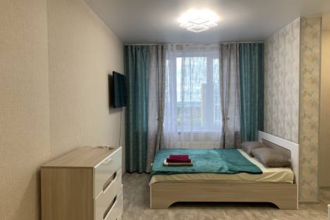 Однокомнатная квартира в аренду посуточно в Перми по адресу Теплогорская ул., 24к2