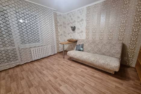 Однокомнатная квартира в аренду посуточно в Перми по адресу Холмогорская ул., 4В