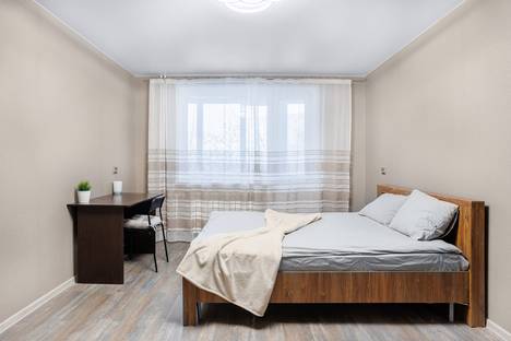 Двухкомнатная квартира в аренду посуточно в Екатеринбурге по адресу ул. Чкалова, 137