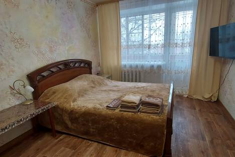 Однокомнатная квартира в аренду посуточно в Коломне по адресу ул. Октябрьской Революции, 151