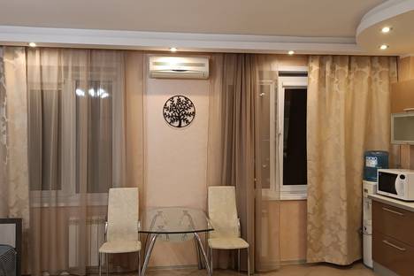 Двухкомнатная квартира в аренду посуточно в Новосибирске по адресу ул. Галущака, 2