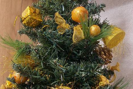 1-комнатная квартира в Новосибирске, Большевистская ул., 32/1