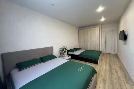 1-комнатная квартира в Старой Купавне, Старая Купавна, Трудовая ул., 19А