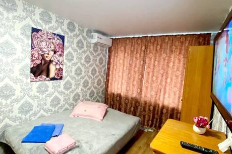 Однокомнатная квартира в аренду посуточно в Хабаровске по адресу Краснодарская ул., 43