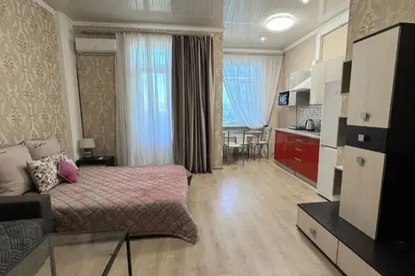 1-комнатная квартира в Ростове-на-Дону, Ростов-на-Дону, ул. Евдокимова, 102Бс2