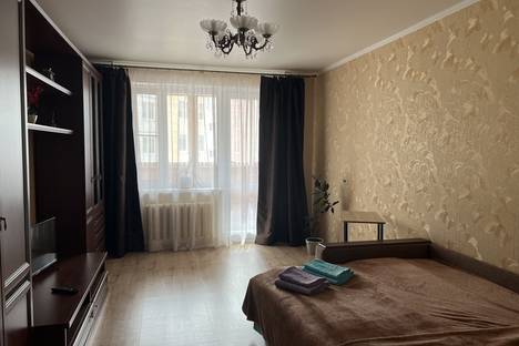 Однокомнатная квартира в аренду посуточно в Пензе по адресу ул. Антонова, 23