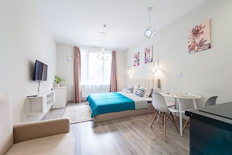1-комнатная квартира в Санкт-Петербурге, Витебский пр-кт, 99к1, м. Купчино