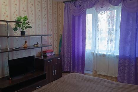 Однокомнатная квартира в аренду посуточно в Великом Новгороде по адресу Большая Санкт-Петербургская ул., 106к4