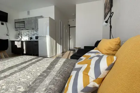 1-комнатная квартира в Екатеринбурге, Лучистая ул., 8