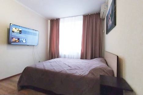 Однокомнатная квартира в аренду посуточно в Михайловске по адресу ул. Ленина, 213/6