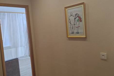 Двухкомнатная квартира в аренду посуточно в Казани по адресу пр-кт Ямашева, 58