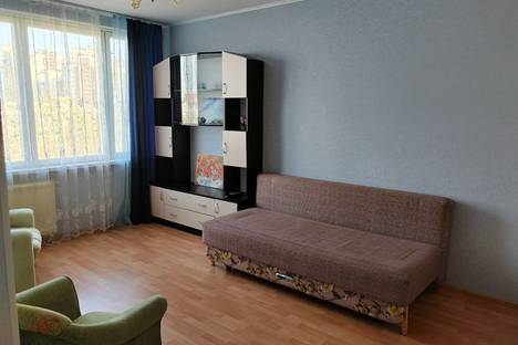 Трёхкомнатная квартира в аренду посуточно в Санкт-Петербурге по адресу Будапештская ул., 74к1