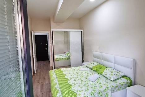 Двухкомнатная квартира в аренду посуточно в Тбилиси по адресу пр-кт Пекина, 28