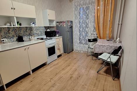 Двухкомнатная квартира в аренду посуточно в Санкт-Петербурге по адресу Советский пр-кт, 41к1