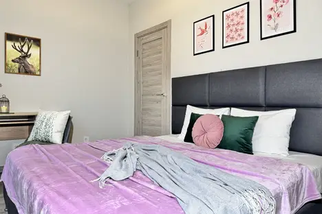 1-комнатная квартира в Санкт-Петербурге, Витебский пр-кт, 99к1, м. Купчино