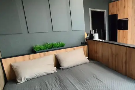 1-комнатная квартира в Челябинске, Челябинск, Блюхера 123И