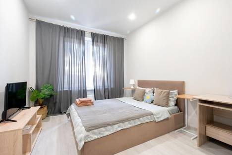 1-комнатная квартира в Санкт-Петербурге, ул. Александра Матросова, 8к1