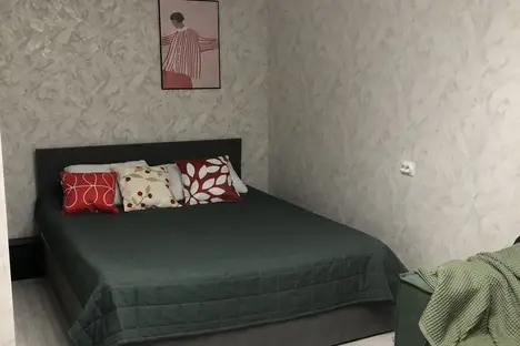 1-комнатная квартира в Пушкине, Кадетский б-р, 19