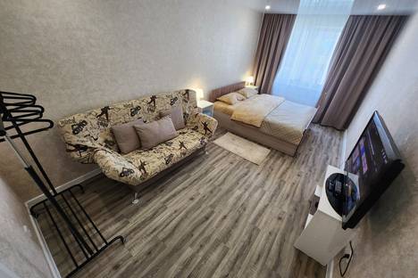 1-комнатная квартира в Екатеринбурге, Вильгельма де генина 37