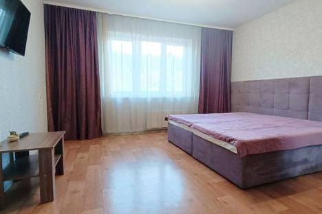 1-комнатная квартира в Красноярске, ул. Партизана Железняка, 61