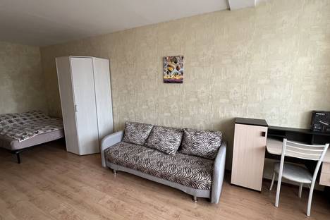 1-комнатная квартира в Екатеринбурге, ул. Степана Разина, 128, м. Чкаловская