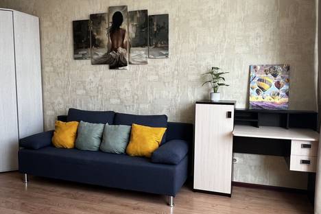 1-комнатная квартира в Екатеринбурге, ул. Степана Разина, 128, м. Чкаловская