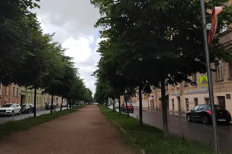 1-комнатная квартира в Санкт-Петербурге, Санкт-Петербург, 17-я лн. Васильевского острова, 40, подъезд 2