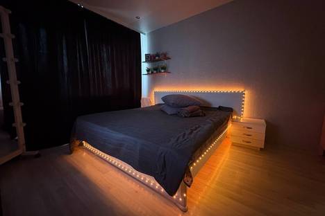 Однокомнатная квартира в аренду посуточно в Екатеринбурге по адресу ул папанина 3