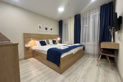 Однокомнатная квартира в аренду посуточно в Санкт-Петербурге по адресу ул. Матроса Железняка, 2, метро Черная речка