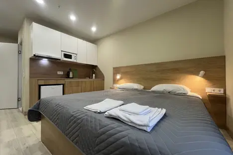 1-комнатная квартира в Санкт-Петербурге, ул. Матроса Железняка, 2