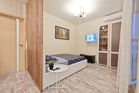 Однокомнатная квартира в аренду посуточно в Казани по адресу Проточная ул., 6, метро Козья Слобода
