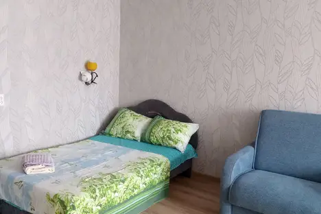 1-комнатная квартира в Новосибирске, Новосибирск, ул. Ватутина, 20, м. Площадь Маркса