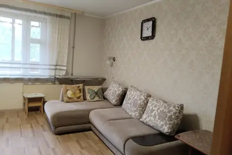 2-комнатная квартира в Нижнем Новгороде, ул. Братьев Игнатовых, 1к1