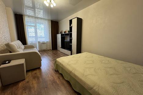 Однокомнатная квартира в аренду посуточно в Новосибирске по адресу Линейная ул., 53