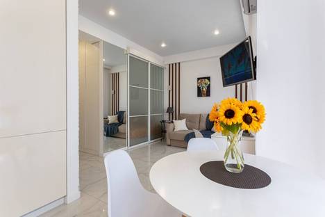 Однокомнатная квартира в аренду посуточно в Сочи по адресу ул. Яна Фабрициуса, 2/17