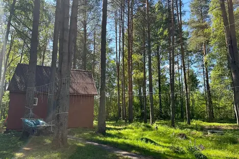 Дом в Ленинградской области, Ленинградская область, Лодейнопольское г.п., д. Заостровье, Центральная ул., 34