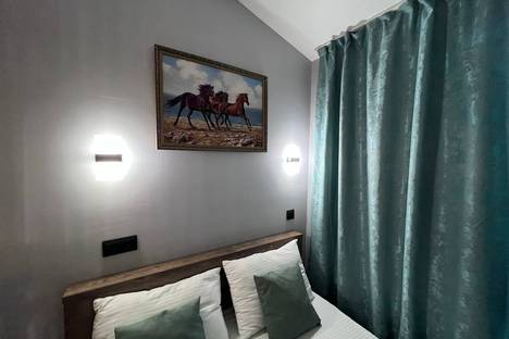 1-комнатная квартира в Сириусе, Ружейная ул., 39