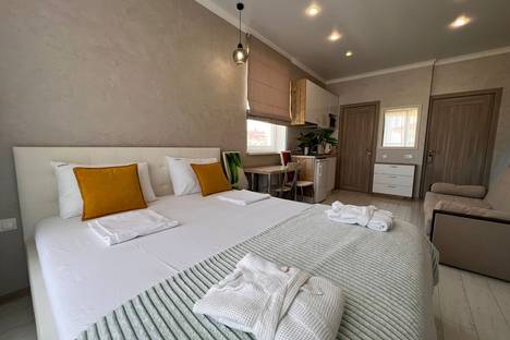 1-комнатная квартира в Сириусе, Сириус, Воскресенская ул., 14/1