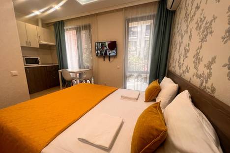 1-комнатная квартира в Адлере, ул. Ленина, 219А/1