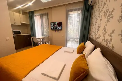 1-комнатная квартира в Адлере, ул. Ленина, 219А/1