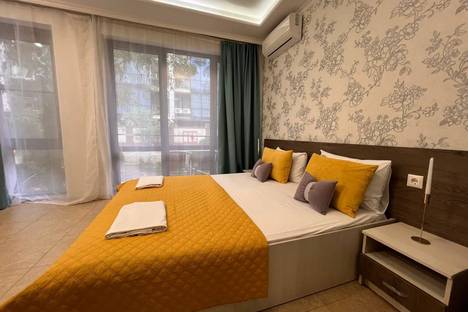 1-комнатная квартира в Адлере, Адлер, ул. Ленина, 219А/1