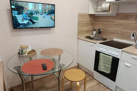 1-комнатная квартира в Екатеринбурге, жилой р-н  Комсомольский, Панельная ул., 17к1